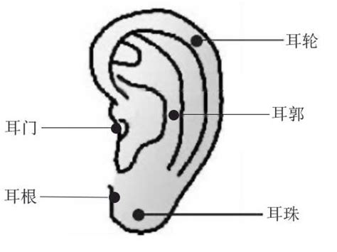 水藍配什麼顏色 耳朵有痣位置